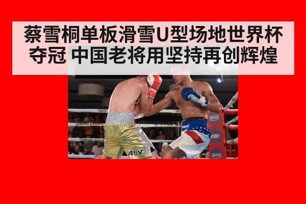 蔡雪桐单板滑雪U型场地世界杯夺冠 中国老将用坚持再创辉煌
